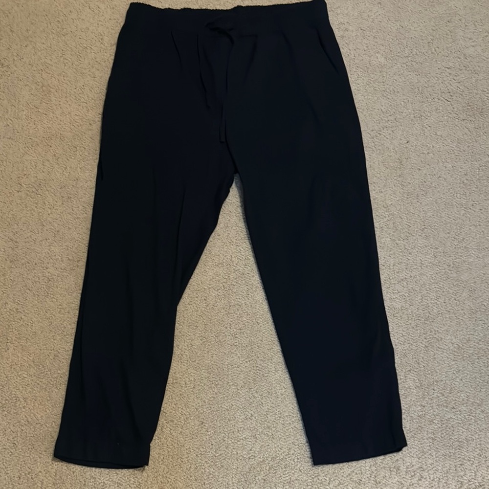 GAP Navy Ankle Cropped Pants